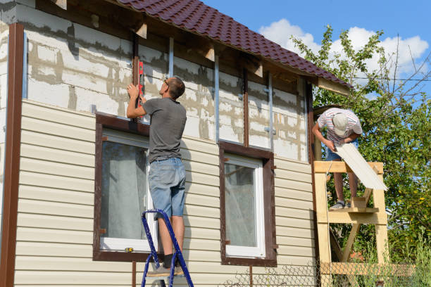 Best Stone Veneer Siding  in Peotone, IL